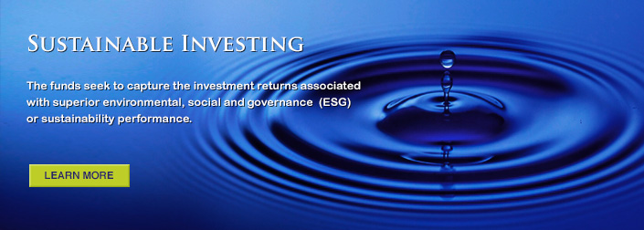 Sustainable Investing is the full integration of environmental, social and governance (ESG) factors into investment analysis and decision making.